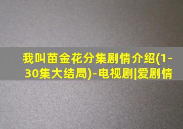 我叫苗金花分集剧情介绍(1-30集大结局)-电视剧|爱剧情